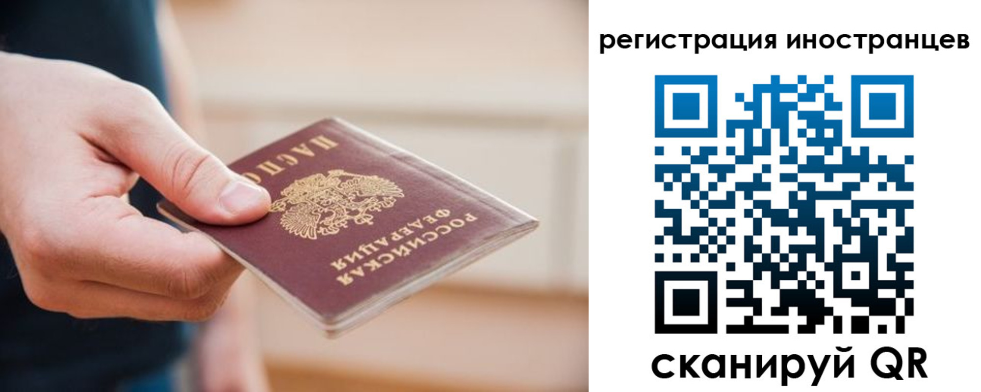 прописка гарантия в Полярном